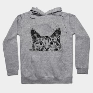 Peeking cat Hoodie